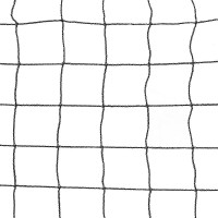 Élémentaire Joola de Red Pickleball